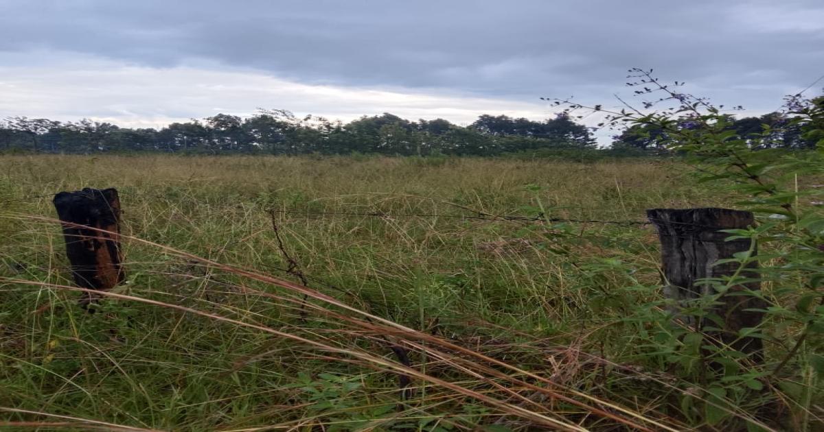 Plot for Sale Nakuru, Mang'u Opposite Mema Secondary 
