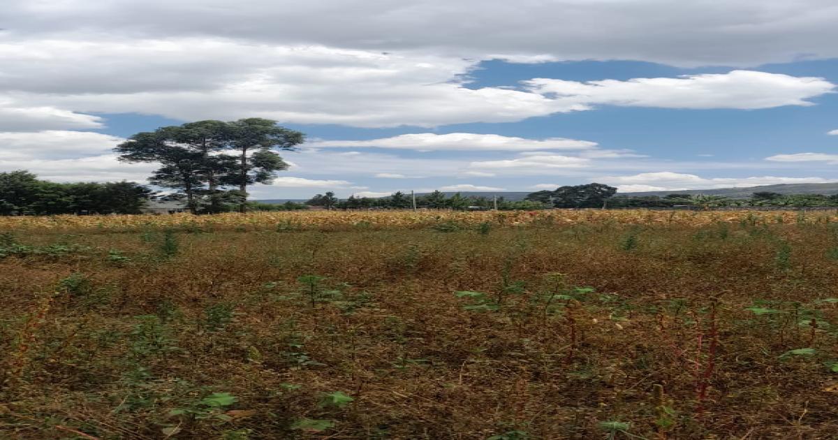 Lanet, Annestar 1 Acre - Image 1