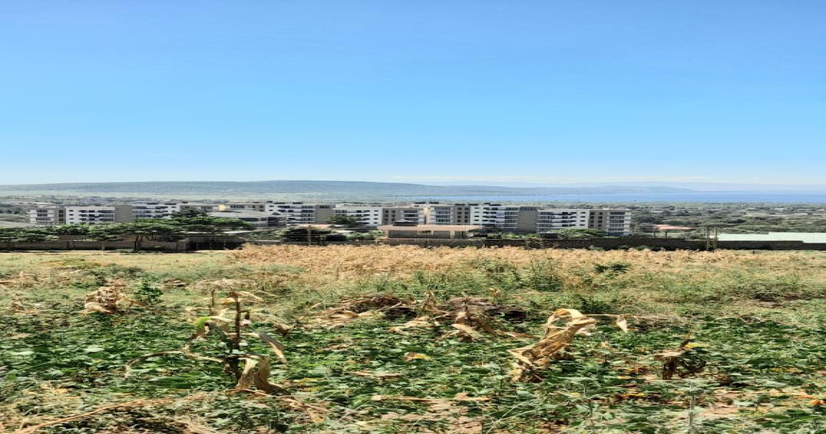 Plots for Sale Near Apex hotel - Image 1