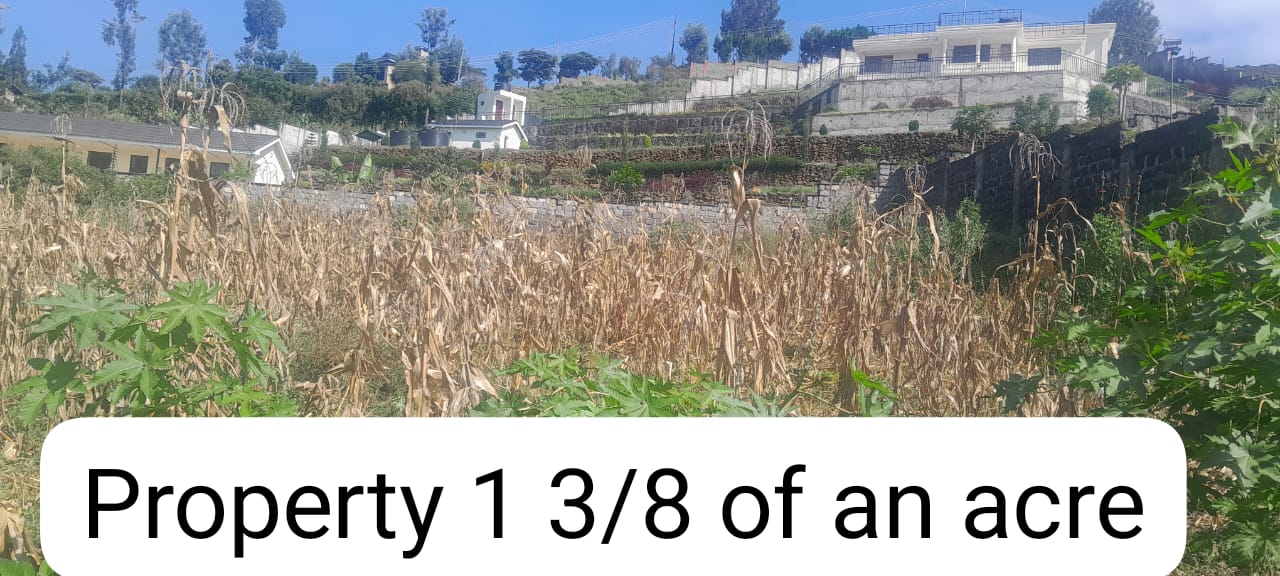 Plot For Sale in Milimani - Image 5